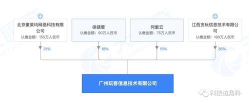 映客发起成立广州玩客技术公司,持股31